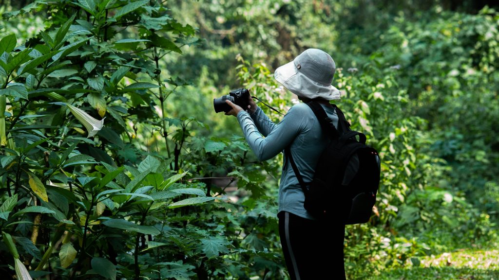 Gorilla-Habituation-Safaris